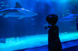 © unai - Young boy pointing at sharks in large aquarium tank