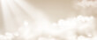© Syuzann q - Beige creamy clouds with sunburst lights fantasy background. Heaven blur bokeh sky sunny summer day template. Warm morning atmosphere surface for cosmetic. Pastel caramel color cloud. Vector bg.