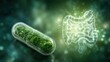 © Kristina - Probiotic capsule with gut microbiome and digestive system health concept