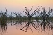 © Moritz Wolf/imageBROKER - Dead trees are reflected in the river at sunset, Thamalakane River, Okavango Delta, Botswana
