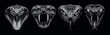 © Royalika - Vector collection pack four detailed monochrome snake heads showing fangs and flicking tongues illustrated on a black background.