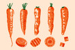 © Yelyzaveta - Orange carrot roots. Fresh organic vegetables vintage risograph style farm food concept, abstract root plant with tops linocut print effect. Vector isolated carrot set