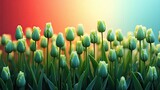A vibrant close-up of a field of closed green tulips against a gradient red to turquoise background.