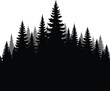 © Rajna - Silhouette Forest Landscape with Pine Trees on White Background