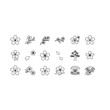 © Creative  Stock - Minimalist floral arrangement of cherry blossoms and delicate botanical elements