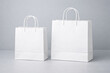 © Dakota Constantine - paper shopping bag mockup