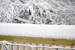 © vm2002 - Showing 5 to 8 inches of snow on thedeck rail, selective focus
