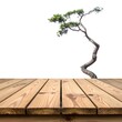 © neng 49 - Minimalist display concept featuring a rustic wooden table and a graceful bonsai tree against a clean white backdrop, ideal for showcasing natural products