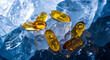 © Olesya - Golden Omega 3 capsules and essential Vitamin E gel pills lying on cold ice cubes. Conceptual image for dietary supplement, health, and wellness.