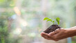 © chaylek - Environmental care and natural growth require nurturing and water to thrive. This image represents sustainable living, ecological balance, and importance of preserving nature through mindful action.