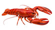 © Png_house - Vibrant red cooked lobster with claws extended, isolated on transparent background for culinary design
