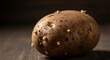 © Armin - A rustic potato with small green sprouts emerging from its surface on a dark background