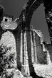© anghifoto - Italia in bianco e nero.  San Pietro Infine,borgo fantasma e Parco della Memoria Storica,,Italia