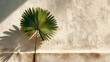 © ink drop - Single tropical palm leaf casting bold shadow on rustic beige stucco wall, minimalist summer composition with warm sunlight and natural texture