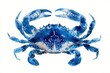 © Zabi - A vibrant blue watercolor illustration of a detailed crab, complete with intricate shell markings and prominent claws, is vividly rendered on a white background.