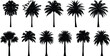 © Md - Collection of palm tree silhouettes, tropical coconut date palms set, black botanical summer trees isolated on white background