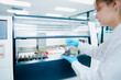 © ultramansk - Pathological technician holding biopsy slide rack for quality inspection in clinical lab. Medical scientist preparing tissue sections for microscopic oncological diagnosis.
