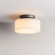 © Photo18@desing - Modern Drum Flush Mount Ceiling Light Frosted White Glass Shade and Dark Bronze Base, Soft Ambient Glow, Contemporary Home Lighting, Elegant Fixture, Minimalist Design, Indoor