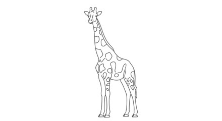  Detailed Outline Drawing of a Majestic Giraffe Standing Tall.