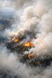© Warisara - Inferno in the Canopy: A stark portrayal of a wildfire's destructive dance, as flames consume the dense forest, casting a pall of smoke that chokes the very air.