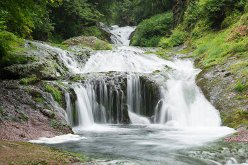  新緑のおしどり隠しの滝
