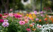 © simba kim - flower garden scene with a multitude of different flowers in full bloom