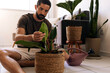 © kleberpicui - Adult man inspecting houseplant leaves indoors, monitoring plant health and practicing mindful home gardening and connection with nature.