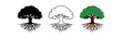 © Design Ful - Oak tree with visible roots vector icon set three styles: black solid silhouette thin black outline and flat colored with solid fills. Clean professional design sharp edges