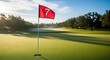 © Gorlock - A serene golf course scene with a red flag