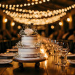 © Vector Classic  - Wedding reception table with semi-naked three-tier cake and string lights