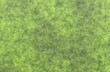 © Cgnomad - Rough green fabric felt or natural moss abstract texture background.
