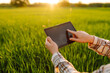 © maxbelchenko - A female farmer with a digital tablet stands in a green agricultural field. A woman works in a green wheat field with a digital tablet at sunset. Concept of agriculture, technology.