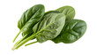 © habi - Fresh spinach leaves with water droplets green isolated on a transparent background