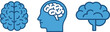© MstRajina - Three blue brain icons showing front view side view and top view Keywords: brain, mind, intelligence, thinking, psychology