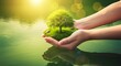 © youns - medio ambiente Día de la Tierra En manos de árboles que crecen plántulas. Bokeh fondo verde mano femenina sosteniendo un árbol en el campo natural hierba concepto de conservación forestal