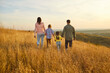 © Studio Romantic - Happy family walking at sunset through meadow togetherness. In warm nature summer light, parents and children explore golden grass, sharing happiness on a gentle hillside. Family leisure outdoors.