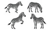 © gg - Black and White Zebra Illustrations Set: Walking, Grazing, Rearing, and Standing Poses