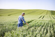 © sofiko14 - A woman in overalls and a hat gently touches the stalks of a young wheat field under a clear blue sky