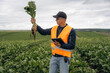 © standret - In orange colored uniform. Male farmer is standing and holding beet on the agricultural field