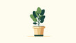 © pallu golla - Potted green plant with large leaves in a terracotta-colored pot