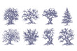 © Anomal - Tree Y2K Retro Stipple Art Forest Brutalist Halftone Vector PNG Transparent Nature 2000s Photocopy Effect Tattoo Aesthetic