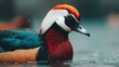 © Qianzi - Vividly colored waterfowl floats calmly in dark water under light precipitation