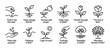 © Vladislav - Set of twelve spiritual growth icons using a plant metaphor from seed to fruit tree with inspirational faith quotes, presented in a clean line art style isolated on white