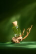 © Marc Tran/Stocksy - An elegant perfume bottle displayed on a natural wooden