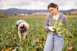 © JackF - Female farmer harvests broccoli with a team of farmers in a farm field