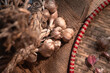 © Preeti B/Stocksy - Hill Garlic
