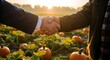 © MdIbrahim - A firm handshake between a businessman and a farmer in a sun-drenched pumpkin field, symbolizing a new partnership, successful harvest, and future collaboration in agriculture