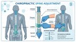 © saqlain - Chiropractic Spine Adjustment Anatomy Vector Illustration