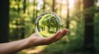 © Turzo Khan - Hand holding crystal ball with lush green forest inside symbolizing eco friendliness and nature conservation in serene woodland setting with soft lighting