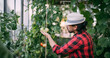 © Anna - A young man in work clothes is working with a pruner in a greenhouse with tomatoes and cucumbers.